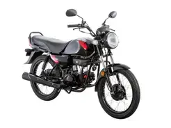 Eco 100