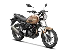 XPulse T